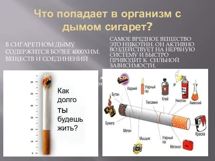 Что попадает в организм с дымом сигарет? В сигаретном дыму