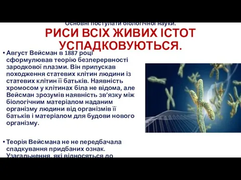 Основні постулати біологічної науки. РИСИ ВСІХ ЖИВИХ ІСТОТ УСПАДКОВУЮТЬСЯ. Август Вейсман в 1887