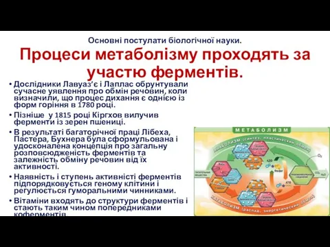 Основні постулати біологічної науки. Процеси метаболізму проходять за участю ферментів. Дослідники Лавуаз’є і