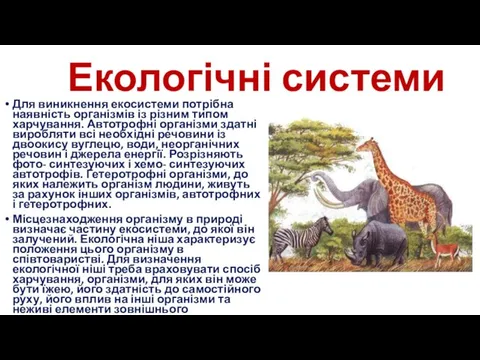 Екологічні системи Для виникнення екосистеми потрібна наявність організмів із різним типом харчування. Автотрофні