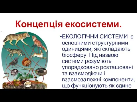 Концепція екосистеми. ЕКОЛОГІЧНИ СИСТЕМИ є основними структурними одиницями, які складають біосферу. Під назвою