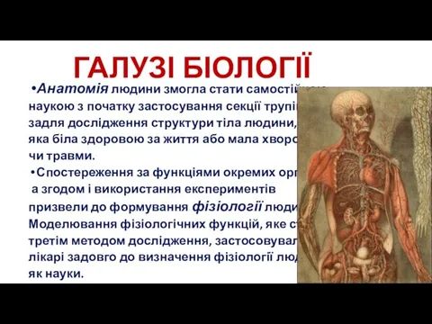 ГАЛУЗІ БІОЛОГІЇ Анатомія людини змогла стати самостійною наукою з початку застосування секції трупів