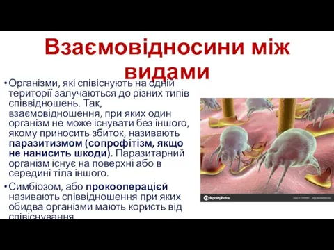 Взаємовідносини між видами Організми, які співіснують на одній території залучаються до різних типів