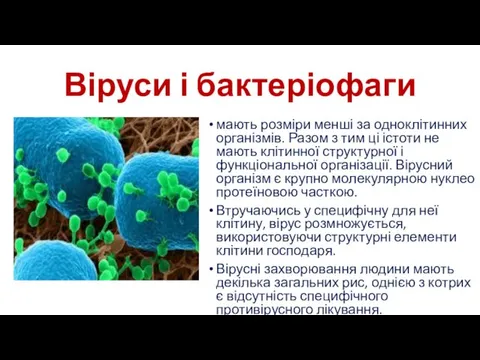 Віруси і бактеріофаги мають розміри менші за одноклітинних організмів. Разом з тим ці