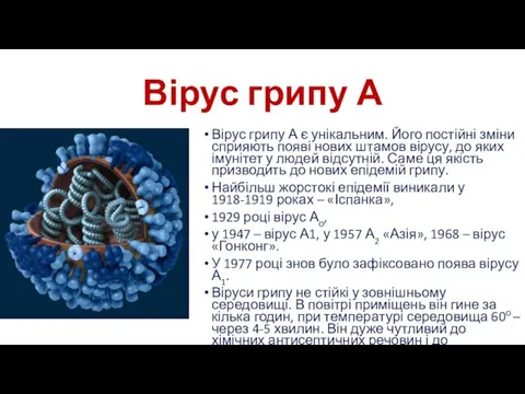 Вірус грипу А Вірус грипу А є унікальним. Його постійні зміни сприяють появі