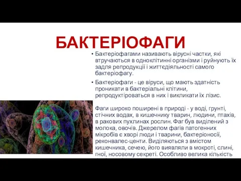 БАКТЕРІОФАГИ Бактеріофагами називають вірусні частки, які втручаються в одноклітинні організми і руйнують їх