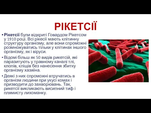 РІКЕТСІЇ Рікетсії були відкриті Говардом Рікетсом у 1910 році. Всі рікесії мають клітинну