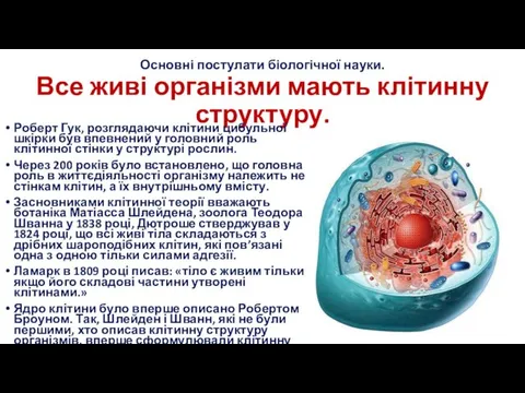 Основні постулати біологічної науки. Все живі організми мають клітинну структуру. Роберт Гук, розглядаючи