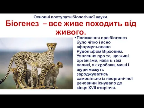 Основні постулати біологічної науки. Біогенез – все живе походить від живого. Положення про