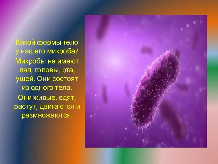 Какой формы тело у нашего микроба? Микробы не имеют лап, головы, рта, ушей.