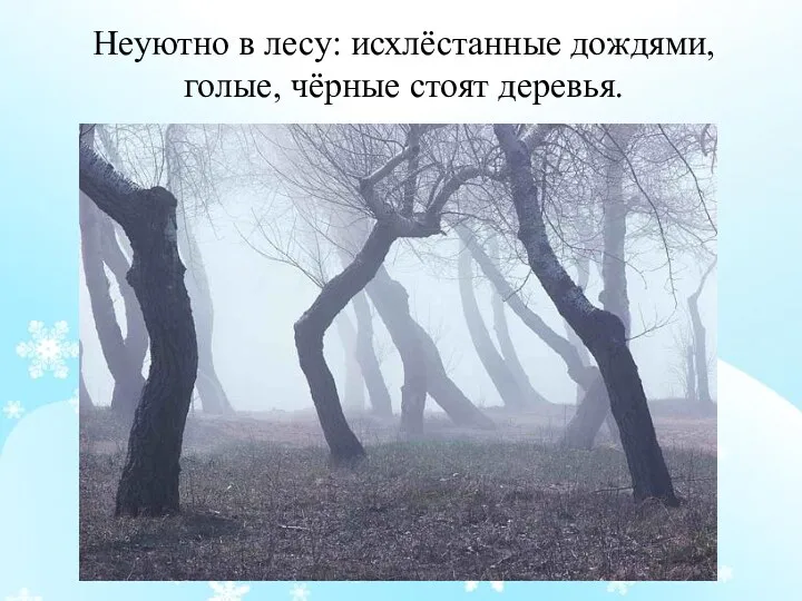 Неуютно в лесу: исхлёстанные дождями, голые, чёрные стоят деревья.