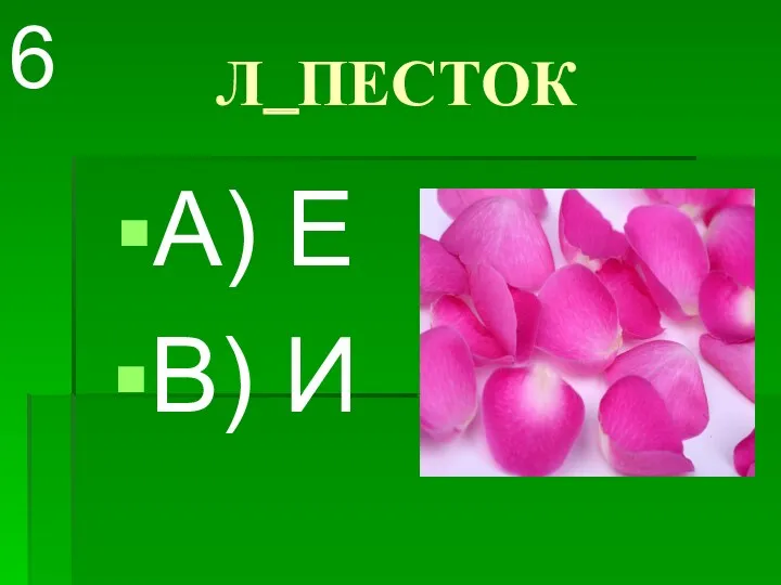Л_ПЕСТОК А) Е В) И 6