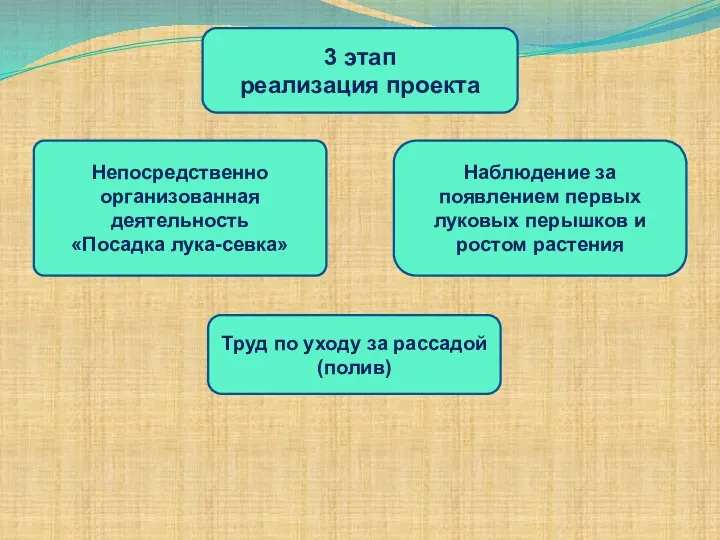 3 этап реализация проекта Непосредственно организованная деятельность «Посадка лука-севка» Наблюдение