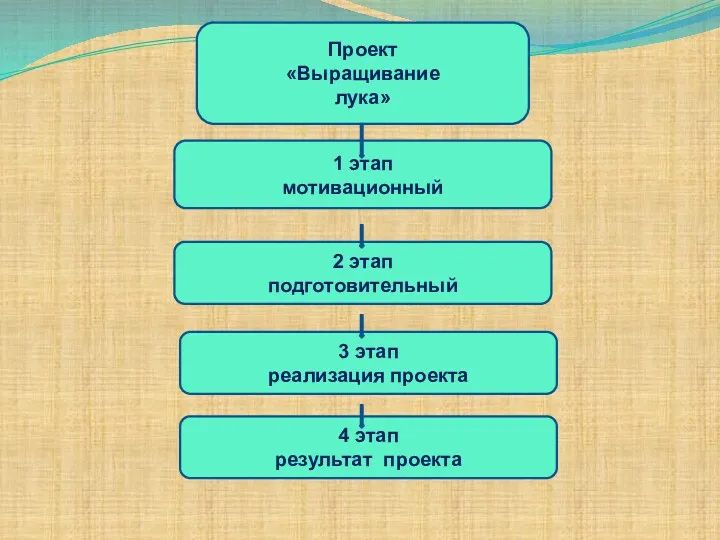 Проект «Выращивание лука» 1 этап мотивационный 2 этап подготовительный 3