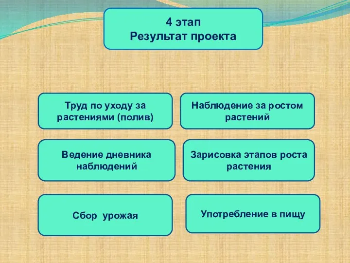 4 этап Результат проекта Употребление в пищу Сбор урожая Ведение