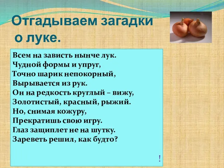 Отгадываем загадки о луке. Всем на зависть нынче лук. Чудной