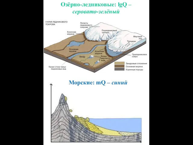 Озёрно-ледниковые: lgQ – серовато-зелёный Морские: mQ – синий