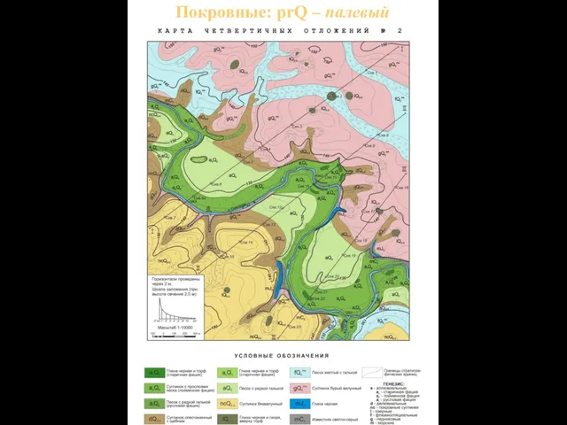 Покровные: prQ – палевый