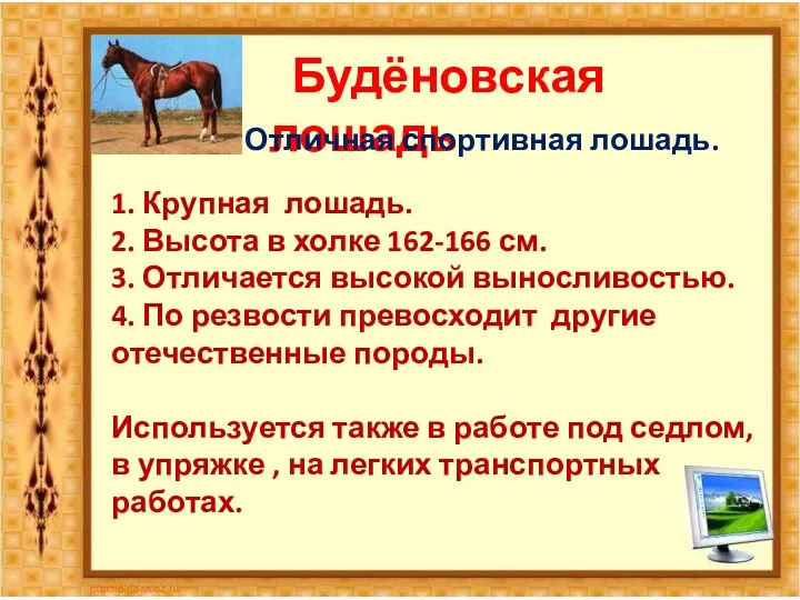 Будёновская лошадь Отличная спортивная лошадь. 1. Крупная лошадь. 2. Высота в холке 162-166