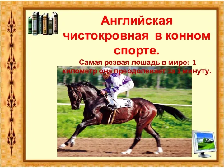 Английская чистокровная в конном спорте. Самая резвая лошадь в мире: 1 километр она