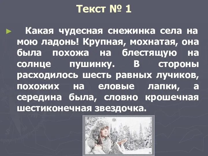 Текст № 1 Какая чудесная снежинка села на мою ладонь!