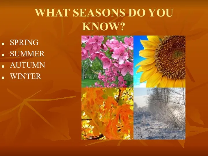 WHAT SEASONS DO YOU KNOW? SPRING SUMMER AUTUMN WINTER