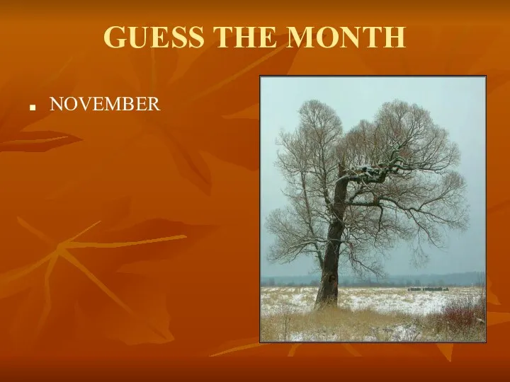 GUESS THE MONTH NOVEMBER