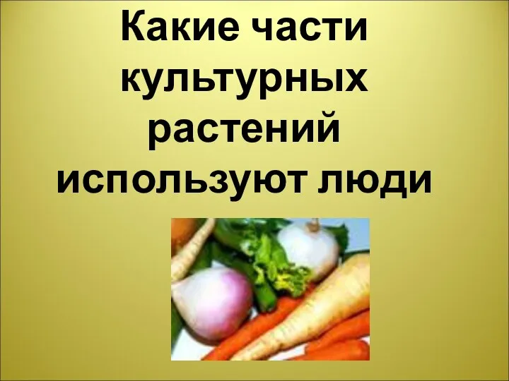 Какие части культурных растений используют люди