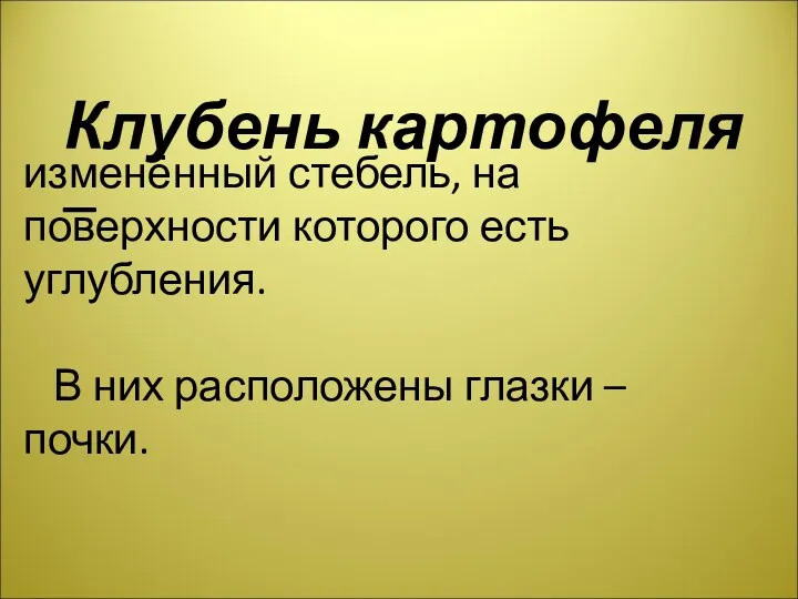 изменённый стебель, на поверхности которого есть углубления. В них расположены глазки – почки. Клубень картофеля –