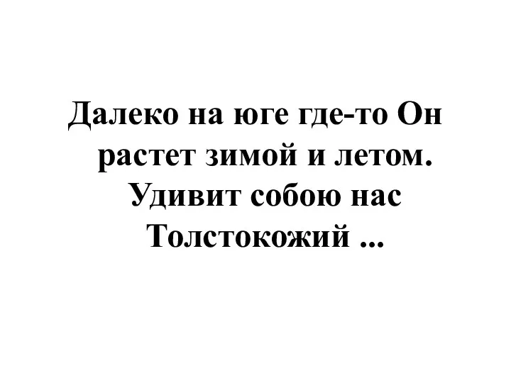 Далеко на юге где-то Он растет зимой и летом. Удивит собою нас Толстокожий ...