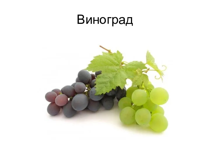 Виноград