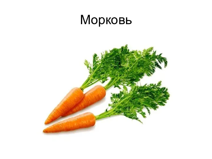 Морковь