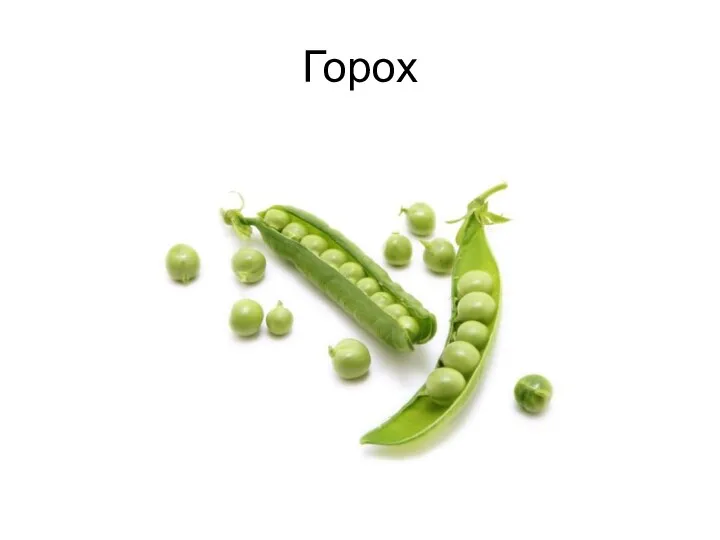 Горох