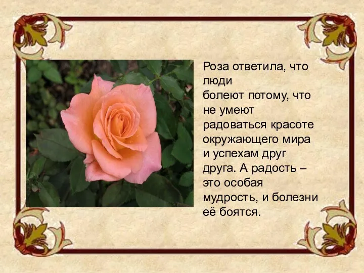 Роза ответила, что люди болеют потому, что не умеют радоваться красоте окружающего мира