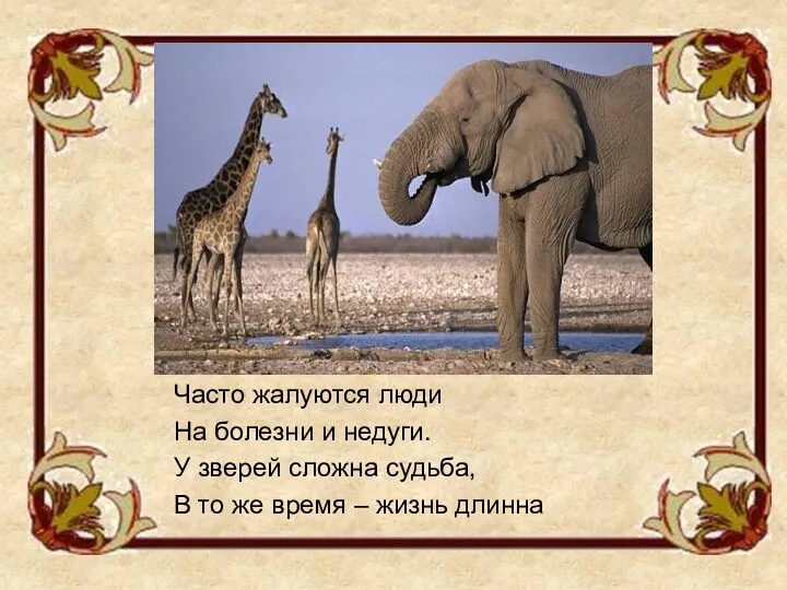 Часто жалуются люди На болезни и недуги. У зверей сложна судьба, В то