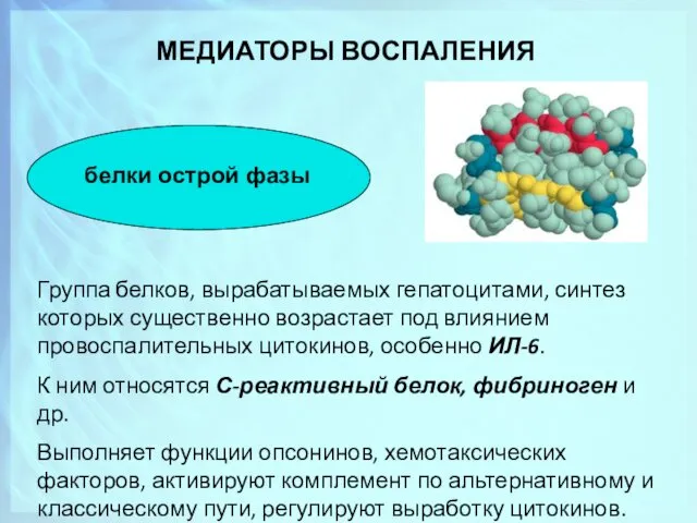 МЕДИАТОРЫ ВОСПАЛЕНИЯ белки острой фазы Группа белков, вырабатываемых гепатоцитами, синтез