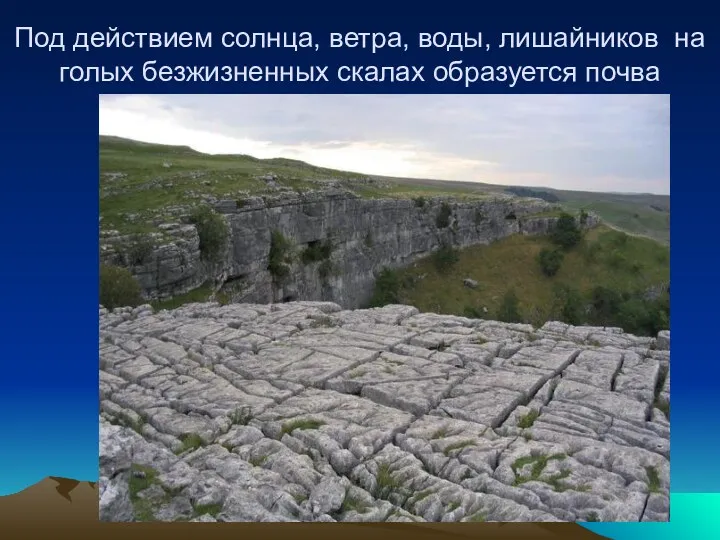 Под действием солнца, ветра, воды, лишайников на голых безжизненных скалах образуется почва