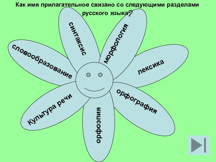 лексика морфология орфография орфоэпия Культура речи словообразование синтаксис Как имя