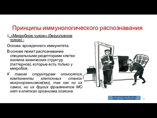 Принципы иммунологического распознавания 1. «Микробное чужое» (безусловное чужое) - Основа врожденного иммунитета. В