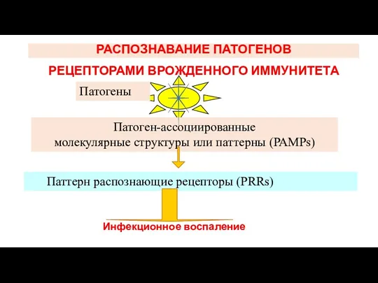 РАСПОЗНАВАНИЕ ПАТОГЕНОВ РЕЦЕПТОРАМИ ВРОЖДЕННОГО ИММУНИТЕТА Патогены Патоген-ассоциированные молекулярные структуры или