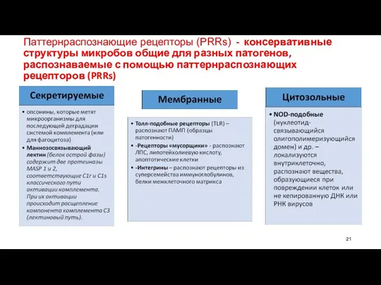 Паттернраспознающие рецепторы (PRRs) - консервативные структуры микробов общие для разных патогенов, распознаваемые с