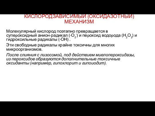 КИСЛОРОДЗАВИСИМЫЙ (ОКСИДАЗОТНЫЙ) МЕХАНИЗМ Молекулярный кислород поэтапно превращается в супеpоксидный анион-радикал