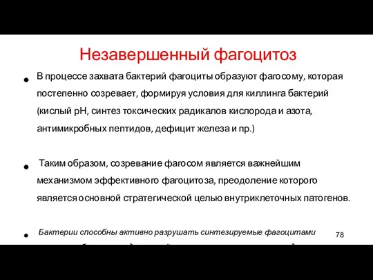 Незавершенный фагоцитоз В процессе захвата бактерий фагоциты образуют фагосому, которая постепенно созревает, формируя