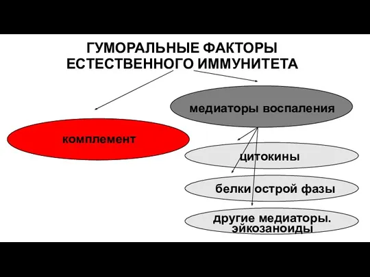 ГУМОРАЛЬНЫЕ ФАКТОРЫ ЕСТЕСТВЕННОГО ИММУНИТЕТА комплемент медиаторы воспаления цитокины белки острой фазы другие медиаторы. эйкозаноиды