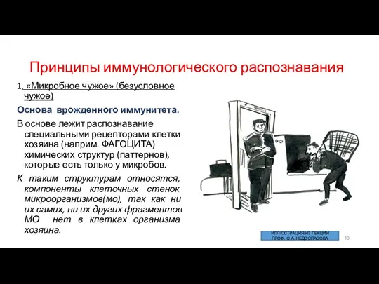 Принципы иммунологического распознавания 1. «Микробное чужое» (безусловное чужое) Основа врожденного