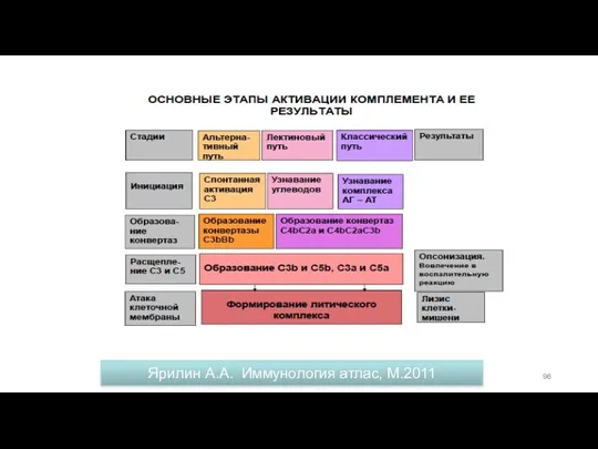 Ярилин А.А. Иммунология атлас, М.2011