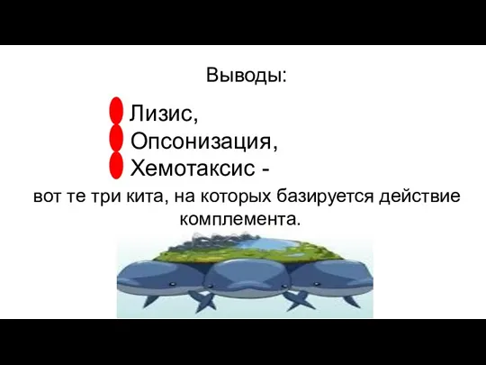 Выводы: