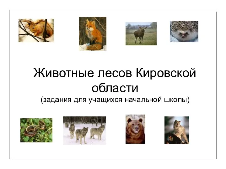 Презентация Животные наших лесов
