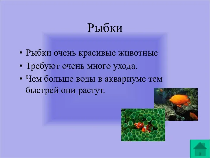 Рыбки Рыбки очень красивые животные Требуют очень много ухода. Чем