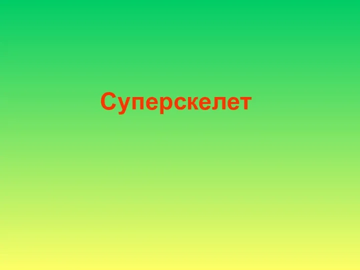 Суперскелет